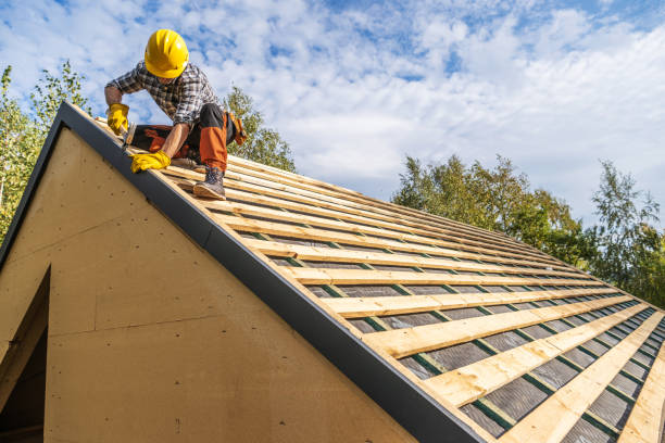 Best Roof Gutter Cleaning  in Mineral Ridge, OH